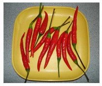 Cili padi or bird's eye chillies